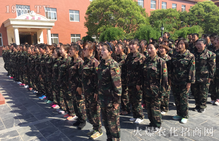 𱬾W(wng)2017(dng)XӖ(xn)I(yng)֮F(tun)(du)