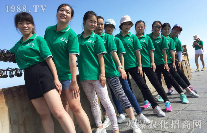 會(huì)當(dāng)凌絕頂 一覽眾山小