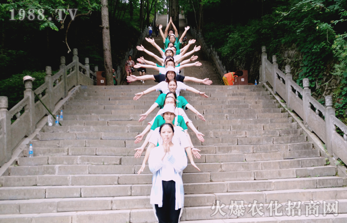 跨云海踏山巒,游白云戲藍(lán)天!