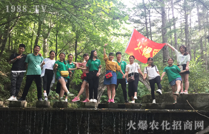 洛陽白云山觀后感