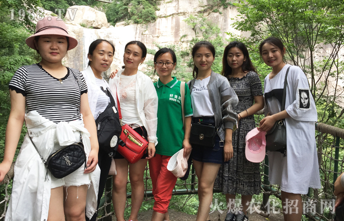 堅持不懈,登峰造極