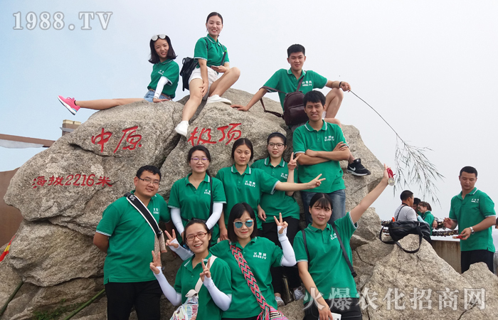 堅持不懈,登峰造極