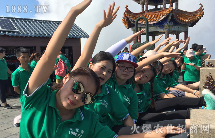 立足,旗幟飛揚(yáng)