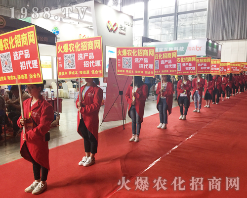 o(w)̎r(nng)W(wng)M۱Mǻ𱬼t