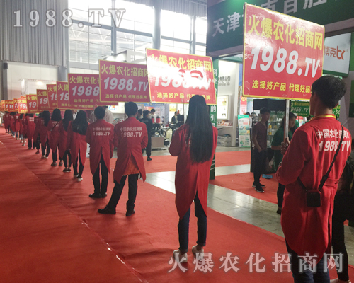  2017r(nng)Y(hu)1988.TVF(xin)P(gun)ע