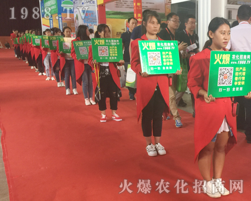 2017r(nng)Yr(nng)̾W(wng)䣡