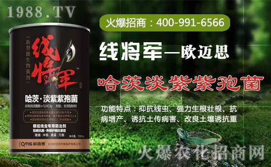 W~˼ȫwTףȫ(gu)(jng)Nw꼪