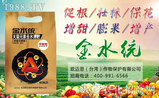 W~˼ȫwTףȫ(gu)(jng)Nw꼪