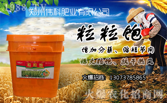 ƷʘI(y)ףµһؔԴLL