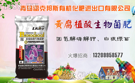 ׿˰˹ףµһҸMHҚg