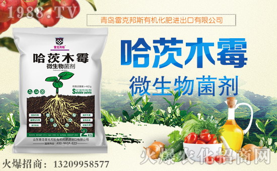 ׿˰˹ףµһҸMHҚg