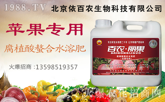 r(nng)ԸϿ͑(h)ڹ﹤