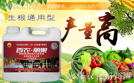 r(nng)ԸϿ͑(h)ڹ﹤