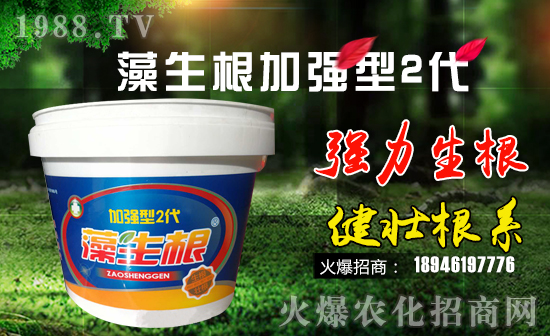 ף2018경ؔ(ci)ԴLL