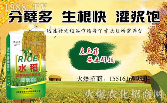 【麥克菲農(nóng)業(yè)】祝大家狗年大吉,萬事如意!