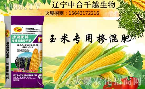 _ǧԽȮߵ푼TؔԴLLM