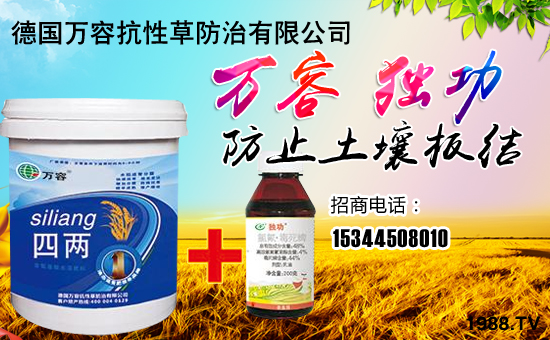 fݡȫwTףȫ(jng)Nwl(f)ؔ