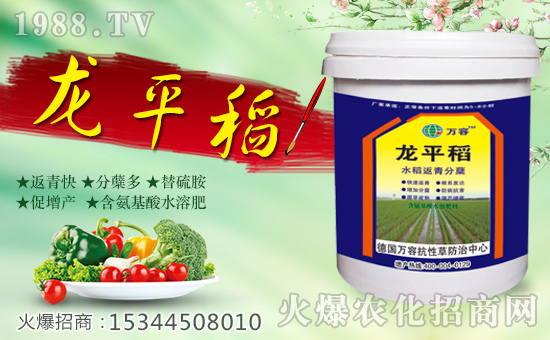 fݡȫwTףȫ(jng)Nwl(f)ؔ