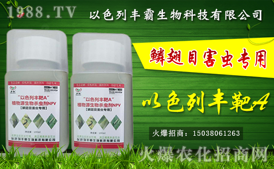 SȫwTף´옷(l)d