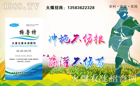 ɽ|ƷףȫҸf