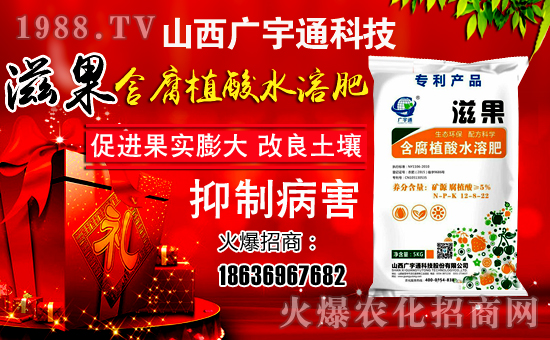 VͨƼףȫ(gu)µһؔ(ci)ԴLL