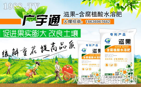 VͨƼףȫ(gu)µһؔ(ci)ԴLL