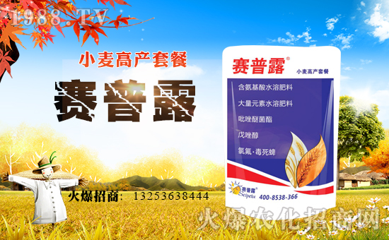 ِ¶ףҸMHҚg