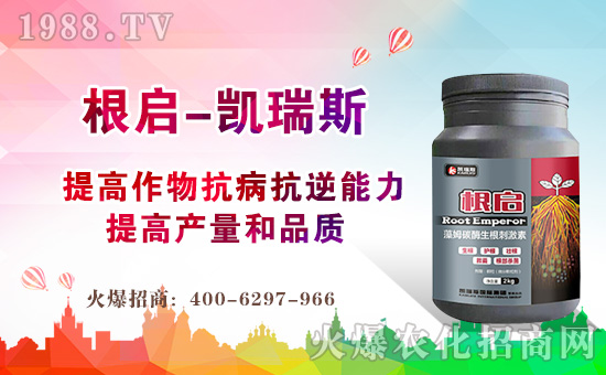 P˹HףµһHҚgҸM