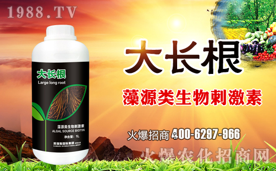 P˹HףµһHҚgҸM