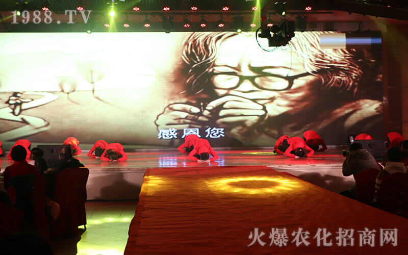 遇到你是我的幸運——火爆網(wǎng)