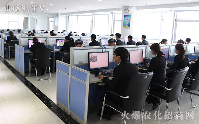 十年火爆 無悔青春歷練成長