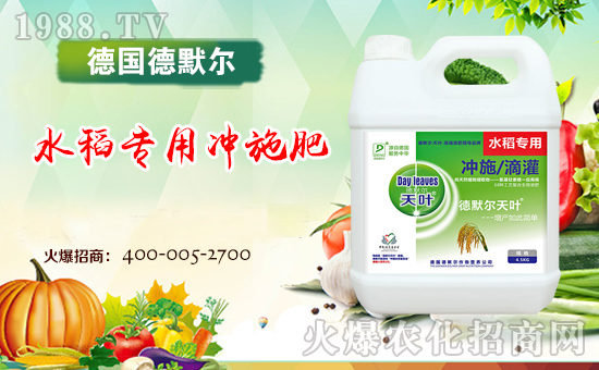 【德國德默爾】祝大家2018年天天好運(yùn)到,日日福星照!