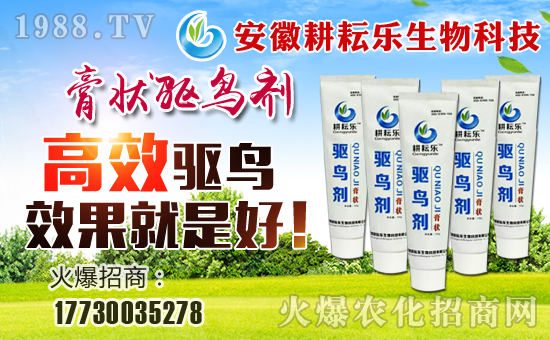 Řףµһ³f(wn)