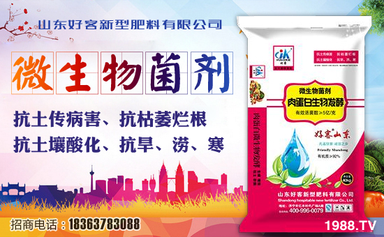 ɽ|ÿ͡ףҹ\Lͥd