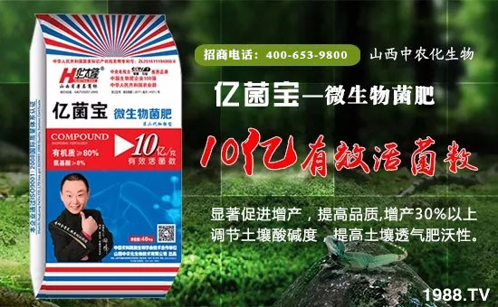 【山西中農(nóng)化】給大家拜年啦!祝您一帆風(fēng)順、財源廣進(jìn)!
