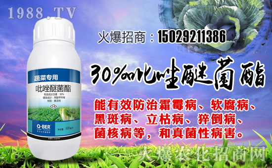 ؐףȫѹ󼪣f