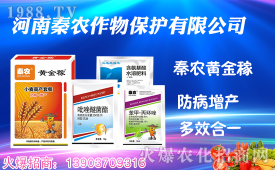 r(nng)ףµһ﹤