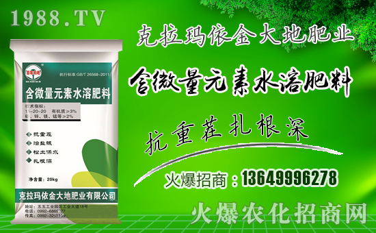 طʘI(y)ףµһ³f(wn)