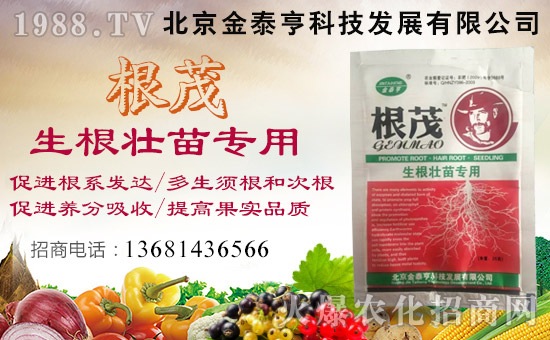 ̩ࡿףλ(jng)Nтtؔ(ci)ԴVM(jn)