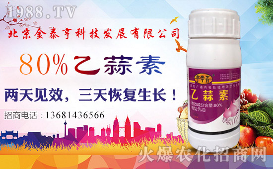 ̩ࡿףλ(jng)Nтtؔ(ci)ԴVM(jn)