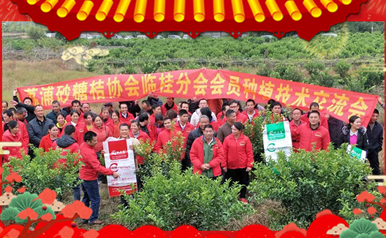 PL(zhng)ףȫ(gu)ѹ󼪣f(wn)