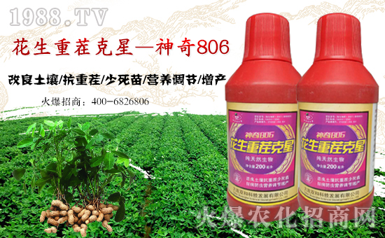 Bp͡ףϿ͑д\(yn)ؔ(ci)ԴLL