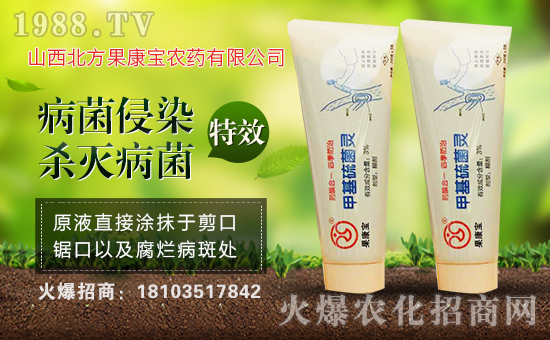 【山西果康寶】祝大家新年快樂,好事多多!