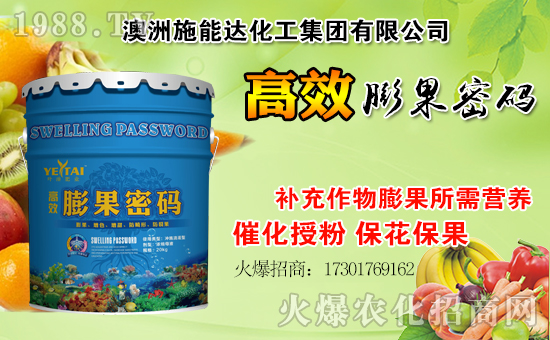 ʩ_(d)ףȫµһ_󼪣f