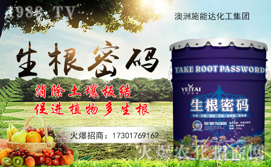 ʩ_(d)ףȫµһ_f