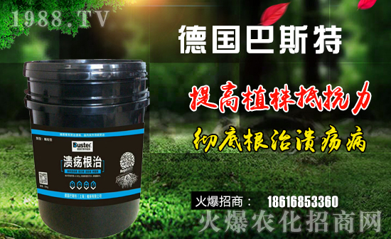 【德國(guó)巴斯特】祝大家狗年大吉,萬(wàn)事如意!