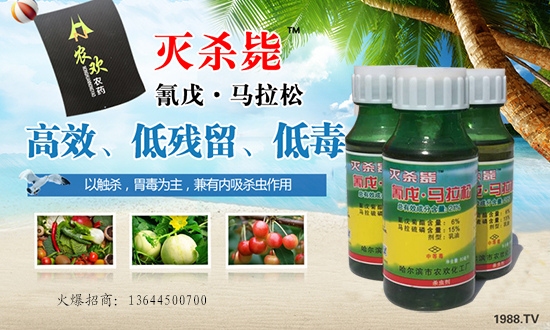 Ir(nng)gr(nng)ףȫ_󼪣f