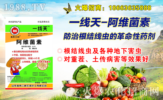 ףȫѺ¶Цݶ