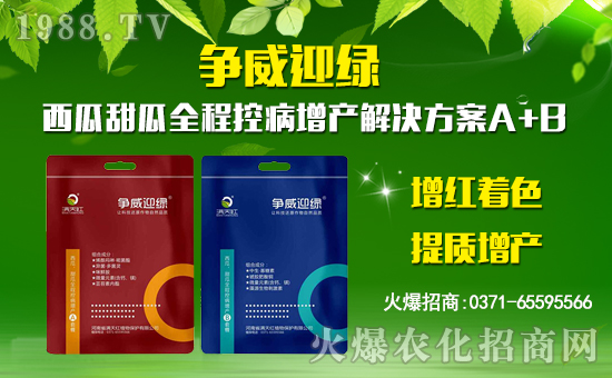 M(mn)tֲףµһwf(wn)