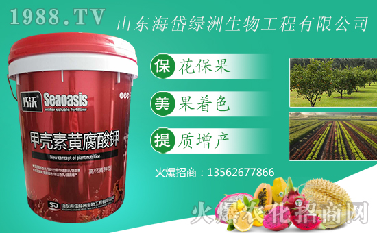 ᷾Gޡף옷(l)Ҹdd